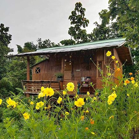 Baan 2 Dao Farmstay Chiang Dao Eksteriør billede