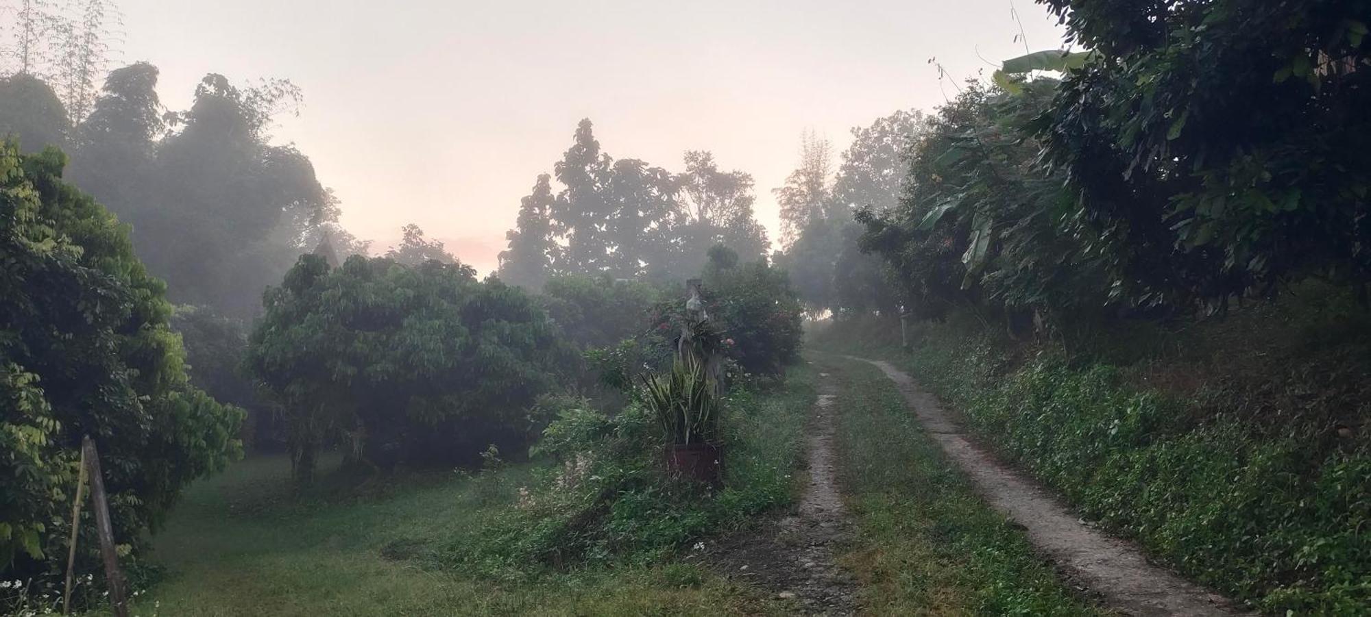 Baan 2 Dao Farmstay Chiang Dao Eksteriør billede