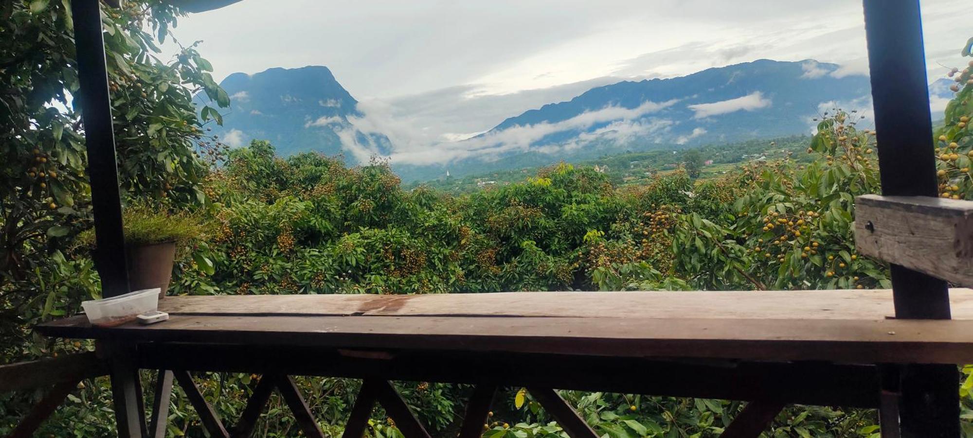 Baan 2 Dao Farmstay Chiang Dao Eksteriør billede