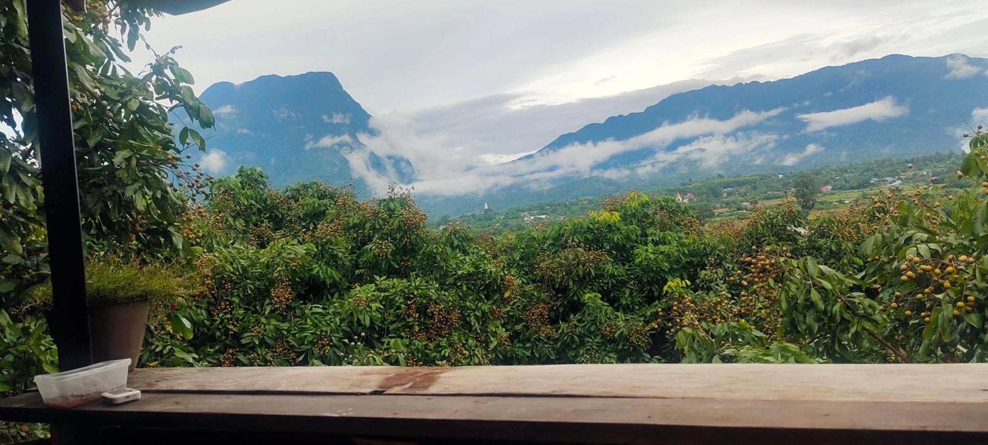 Baan 2 Dao Farmstay Chiang Dao Eksteriør billede